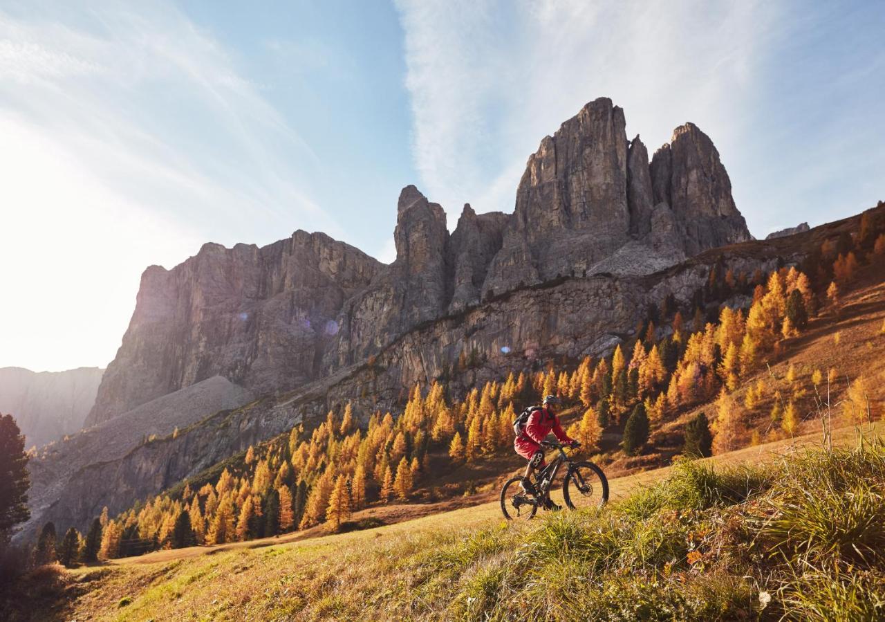 Chalet Elisabeth Dolomites Alpin & Charme Selva di Val Gardena Exterior photo