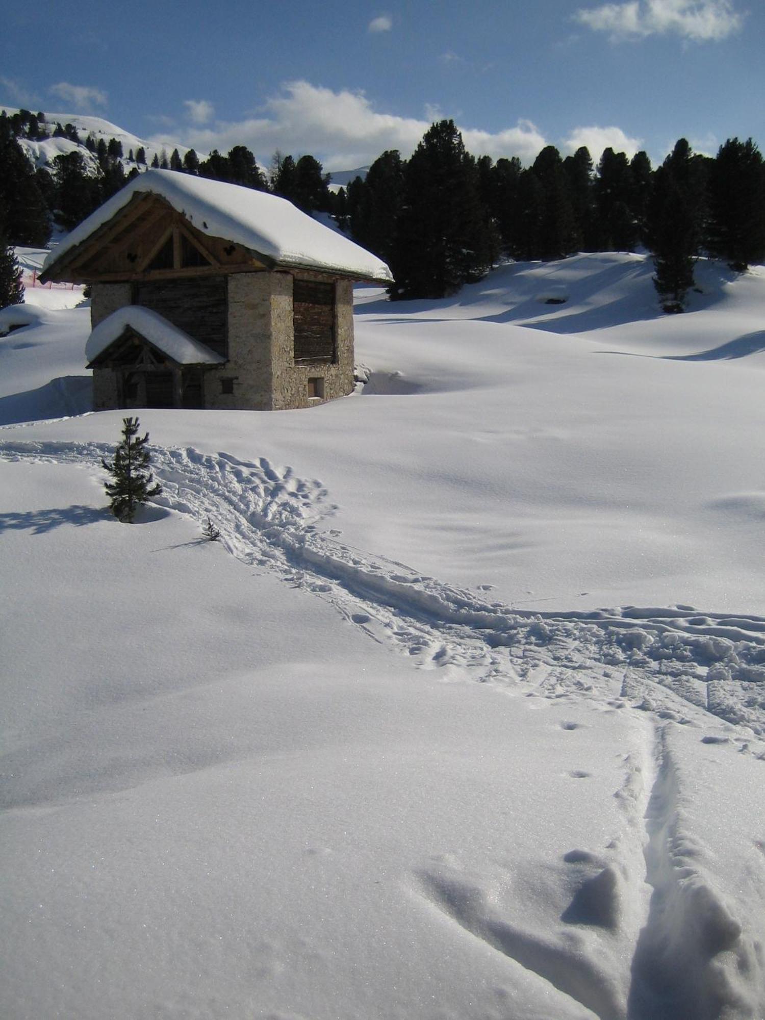 Chalet Elisabeth Dolomites Alpin & Charme Selva di Val Gardena Exterior photo