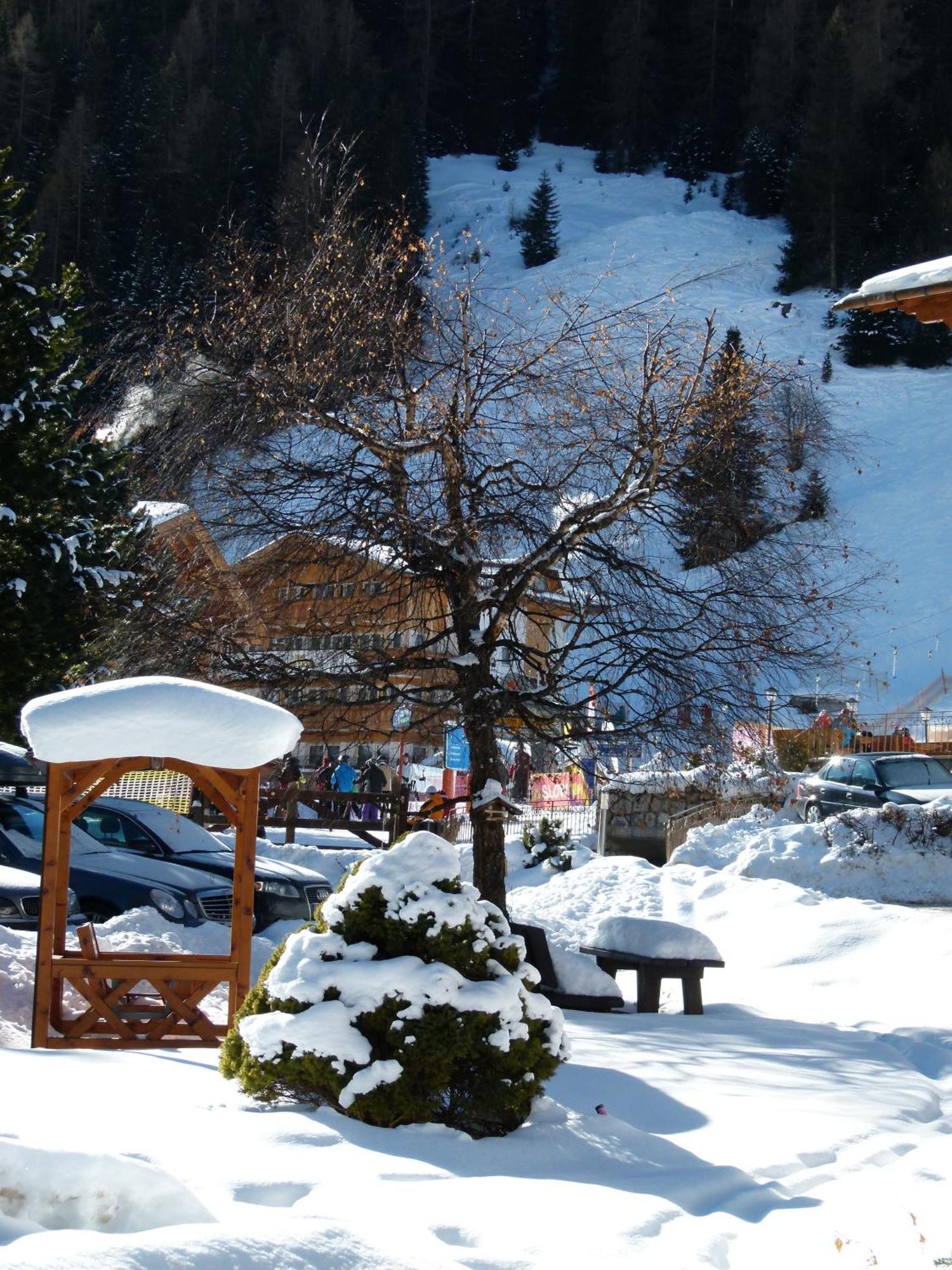 Chalet Elisabeth Dolomites Alpin & Charme Selva di Val Gardena Exterior photo